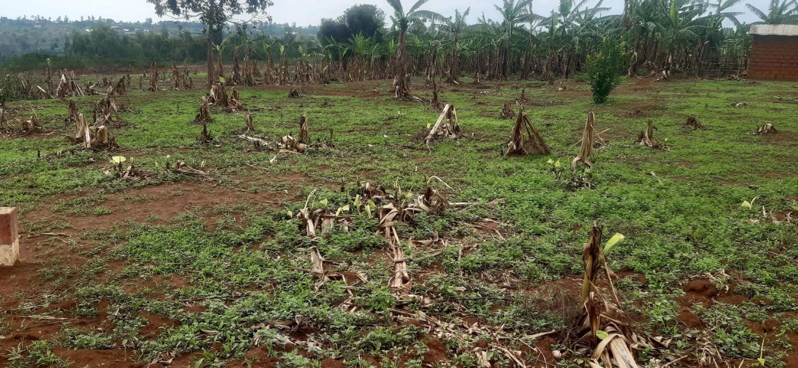 Industrial land for sale in Bugesera near airport of Rwanda good deal 3
