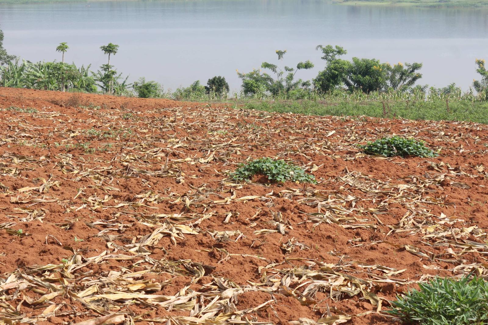 Land for sale in Bugesera near airport of Rwanda Access on lake hot deal 1