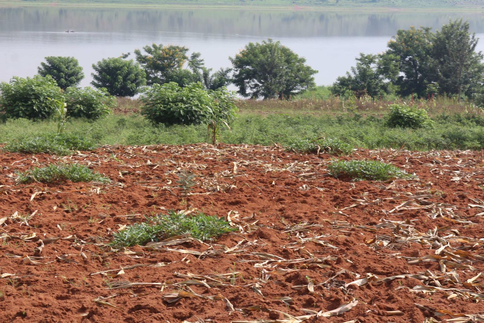 Land for sale in Bugesera near airport of Rwanda Access on lake hot deal 2