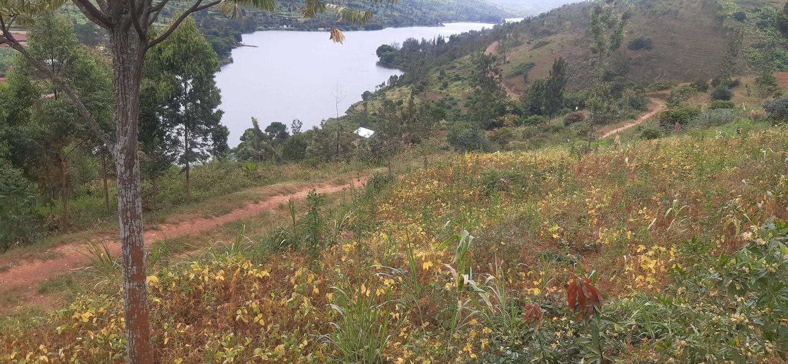 Ecotourism and Hotel for sale in Muhazi Gasabo Rutunga Kigali Rwanda near Muhazi 3