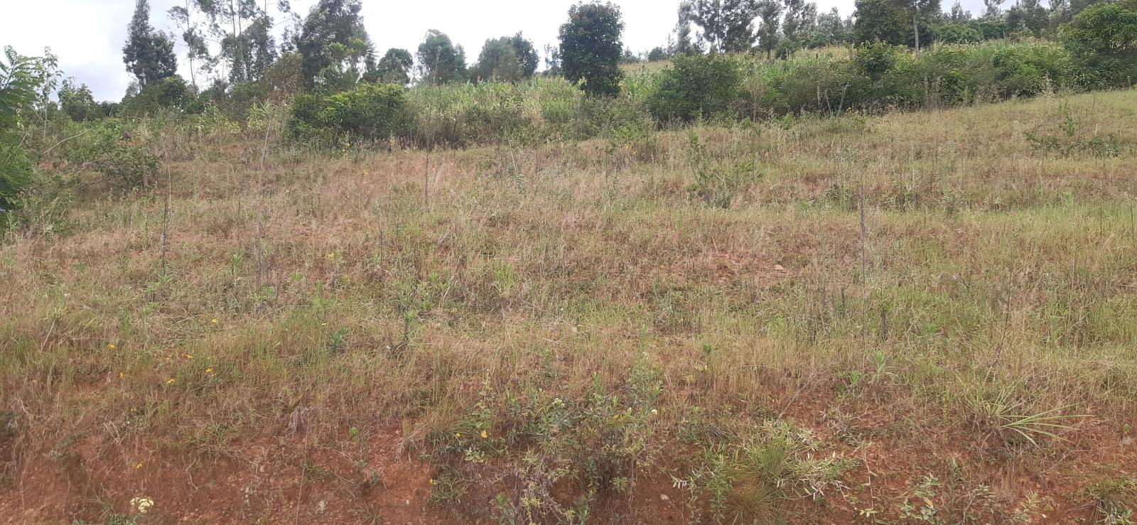 Ecotourism and Hotel for sale in Muhazi Gasabo Rutunga Kigali Rwanda near Muhazi