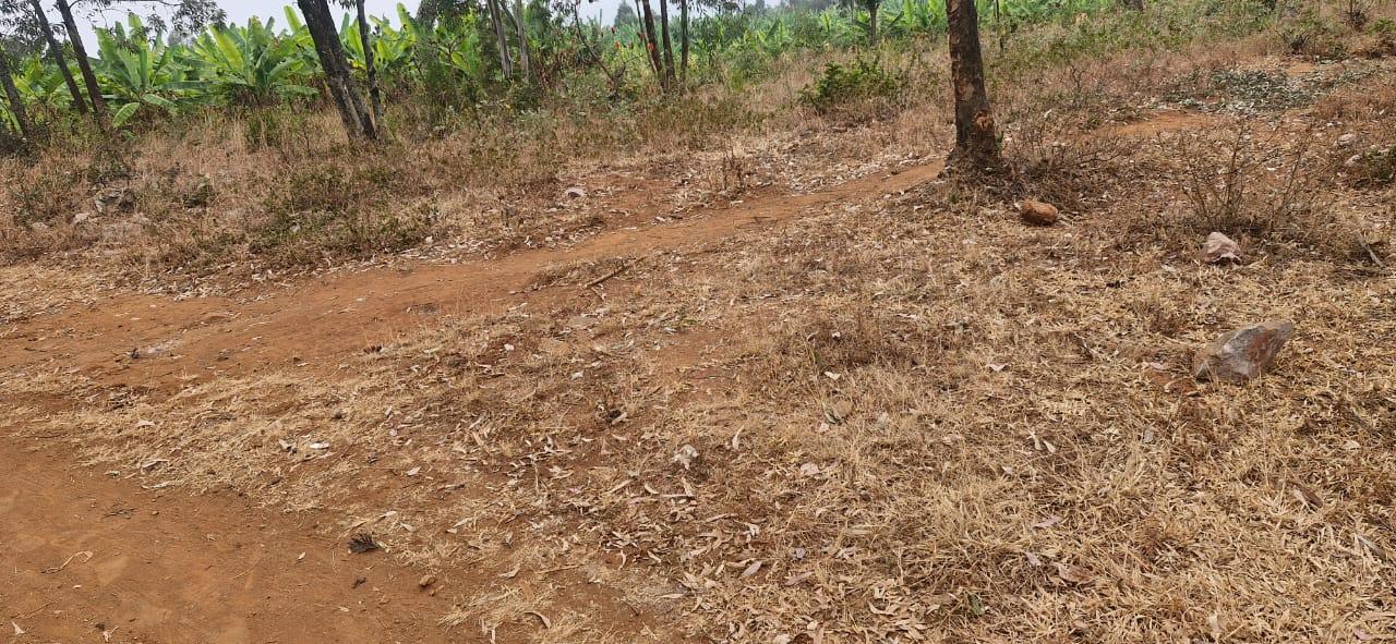 Residential plot fro sale in Bugesera near airport of Rwanda Access on main road 3