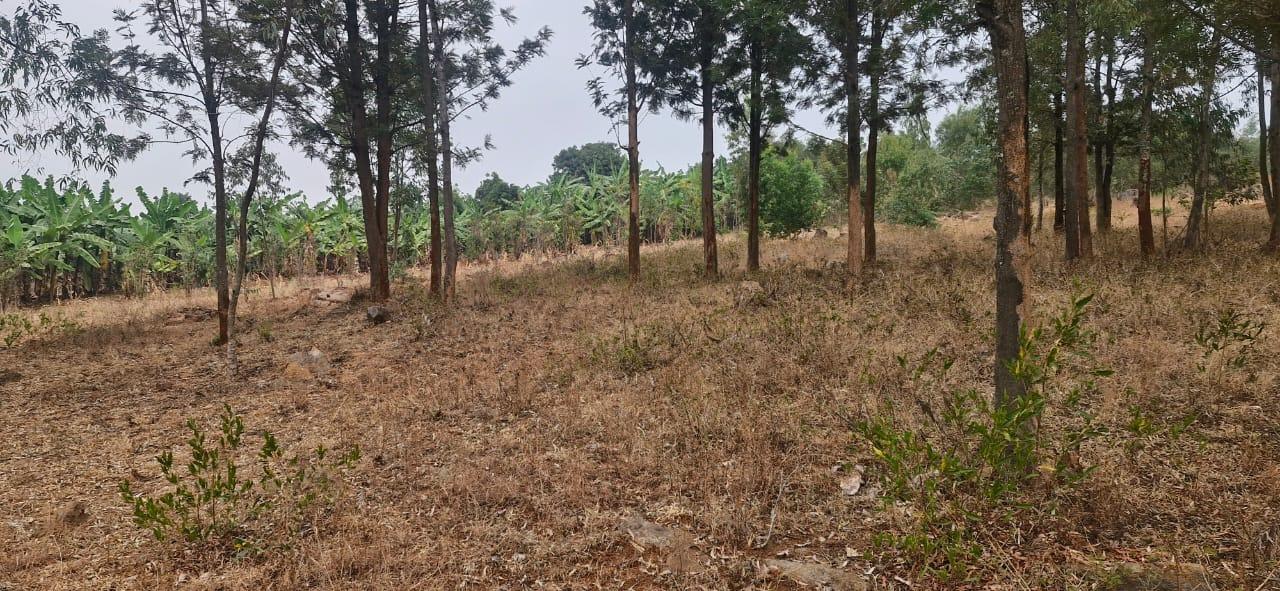 Residential plot fro sale in Bugesera near airport of Rwanda Access on main road 1
