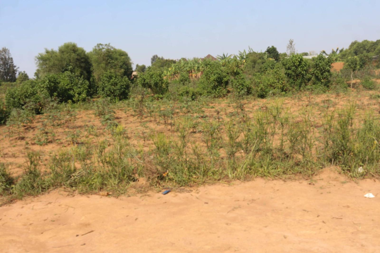 Residential Plot for sale in Bugesra near airport of Rwanda Good view of airport of Rwanda 2