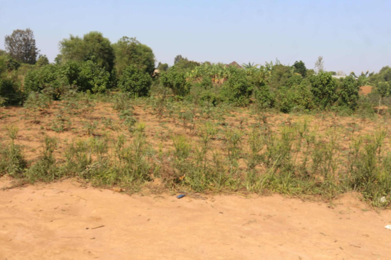 Residential Plot for sale in Bugesra near airport of Rwanda Good view of airport of Rwanda 3